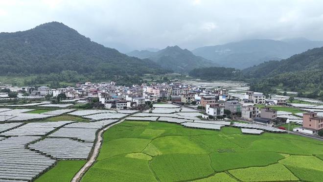 高旗村最新项目，乡村振兴的典范引领