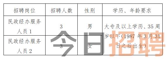 龙泉乡最新招聘信息总览