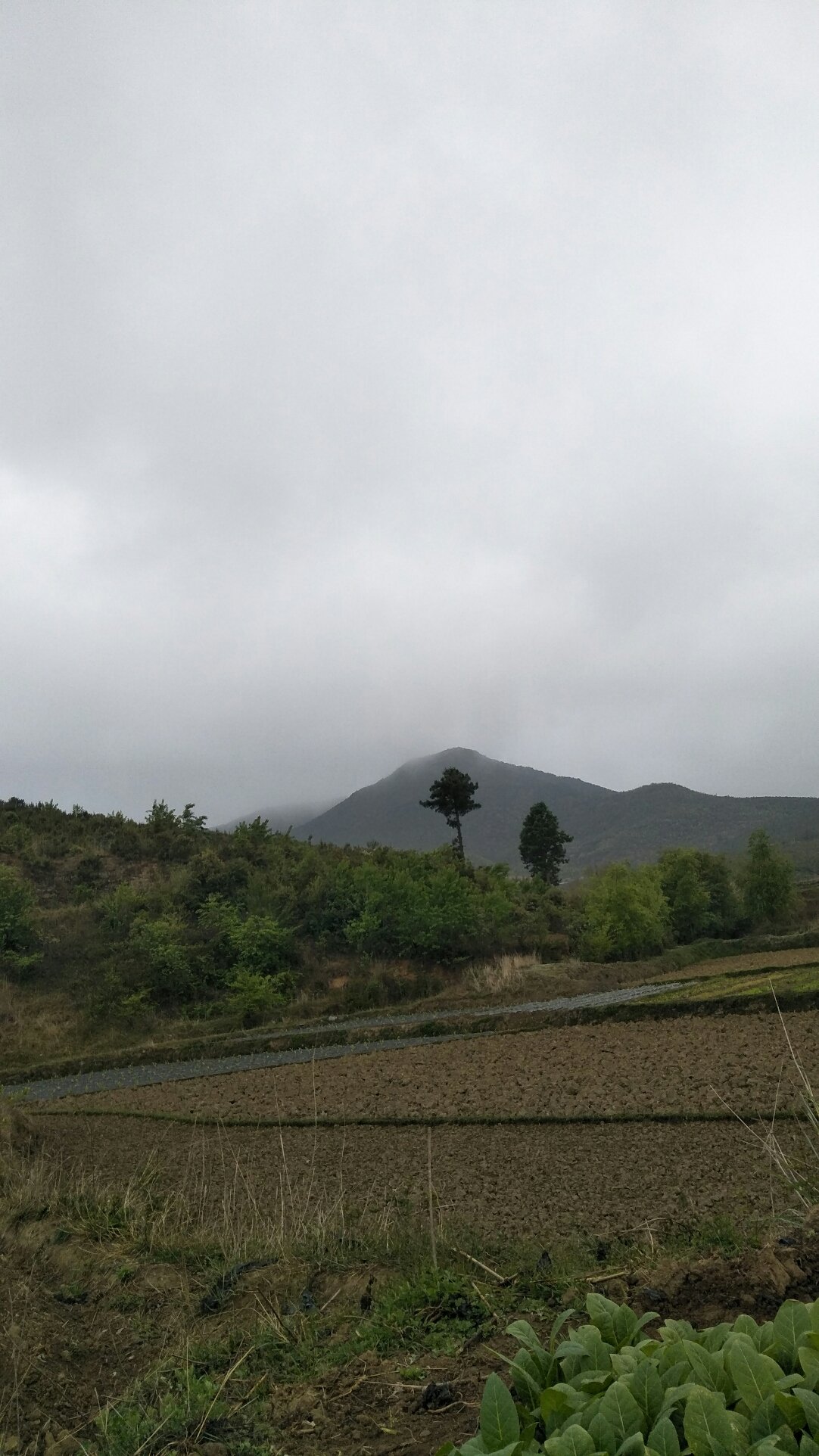 东富乡天气预报更新通知