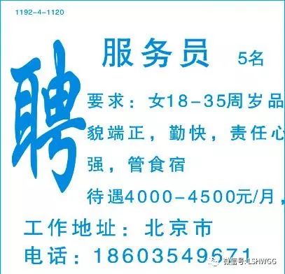 博兴香驰最新招聘信息全面解析