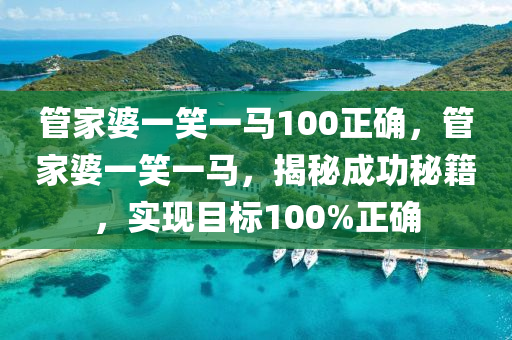 管家婆一笑一马100正确，效率资料解释落实_WP85.91.54