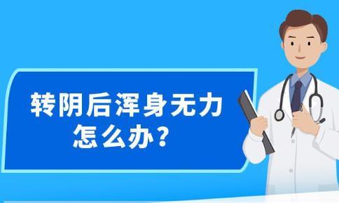 新澳精准资料免费提供网站,精准分析实施步骤_AR版6.096