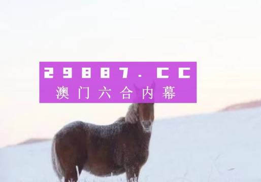 设计理念 第13页