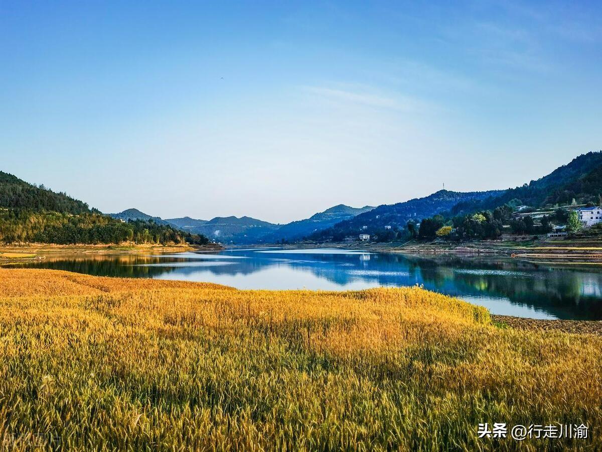 南部县升钟镇未来繁荣发展规划蓝图揭秘