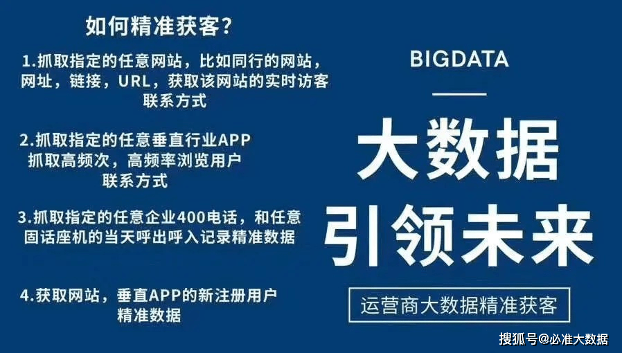 2024新奥精准正版资料，数据资料解释落实_The45.15.100