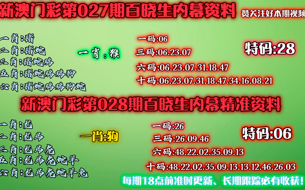 新澳门今晚精准一码，决策资料解释落实_3D66.30.62