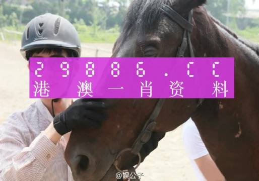 澳门一肖一码一特一中云骑士，全面解答解释落实_iPhone64.25.7