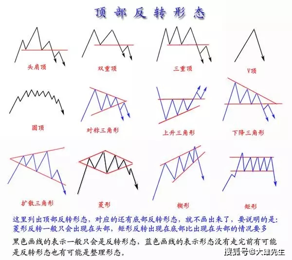 4949正版免费资料大全水果，绝对经典解释落实_The87.78.77