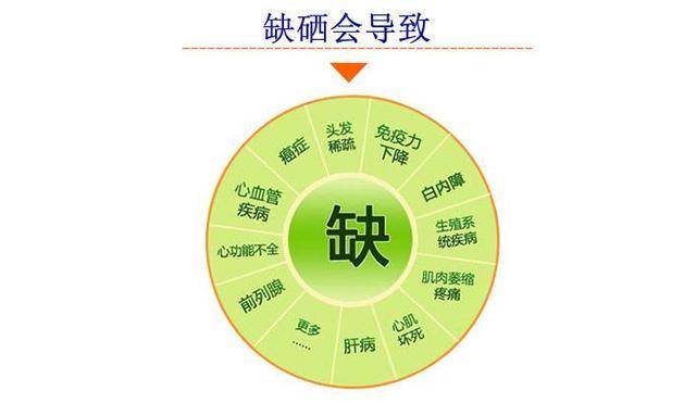 2024新奥精准正版资料,高度协调策略执行_经典版0.657