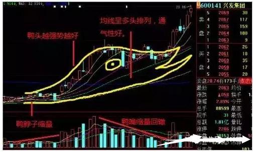 香港内部最精准免费资料黑白图库,高效实施方法解析_精英版201.123