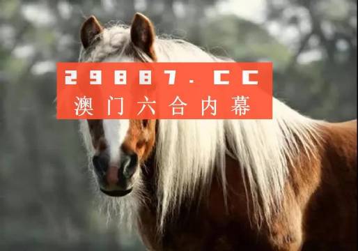 澳门码鞋一肖一码,绝对经典解释落实_试用版1.613