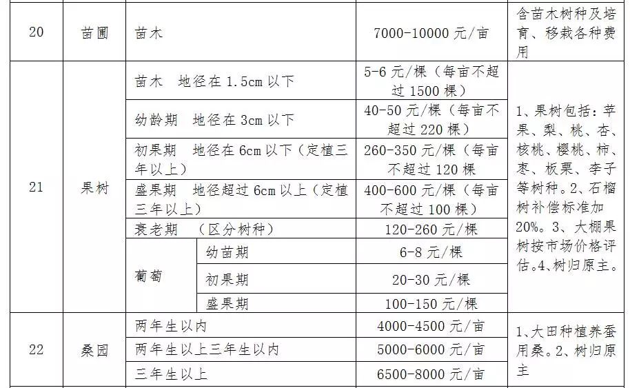 2O23新澳门天天开好彩,广泛的解释落实支持计划_静态版6.22