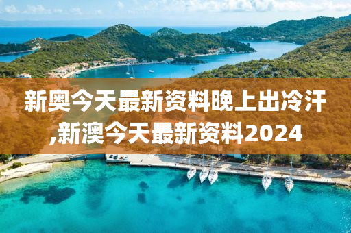 2024新奥天天资料免费大全,最佳精选解释落实_精英版201.123