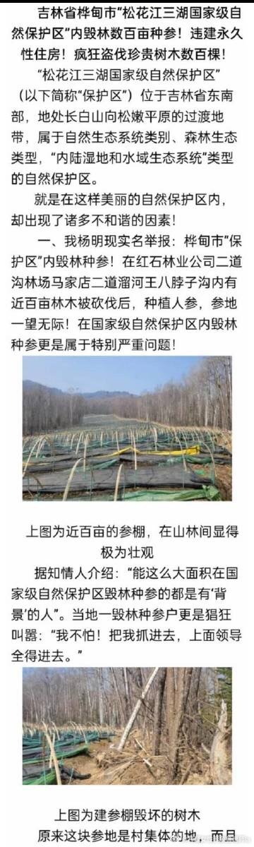 黑龙江毁林种参现象背后的原因及应对策略深度解析