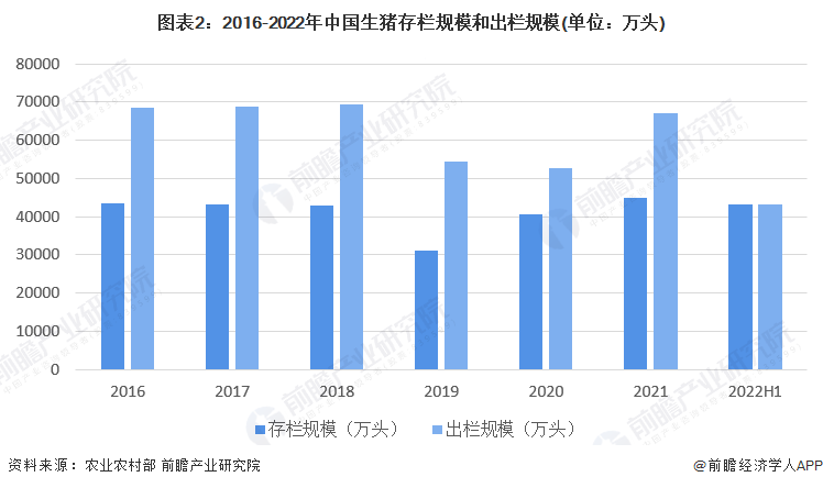 新澳精准资料免费提供221期,快速方案执行_Max74.577