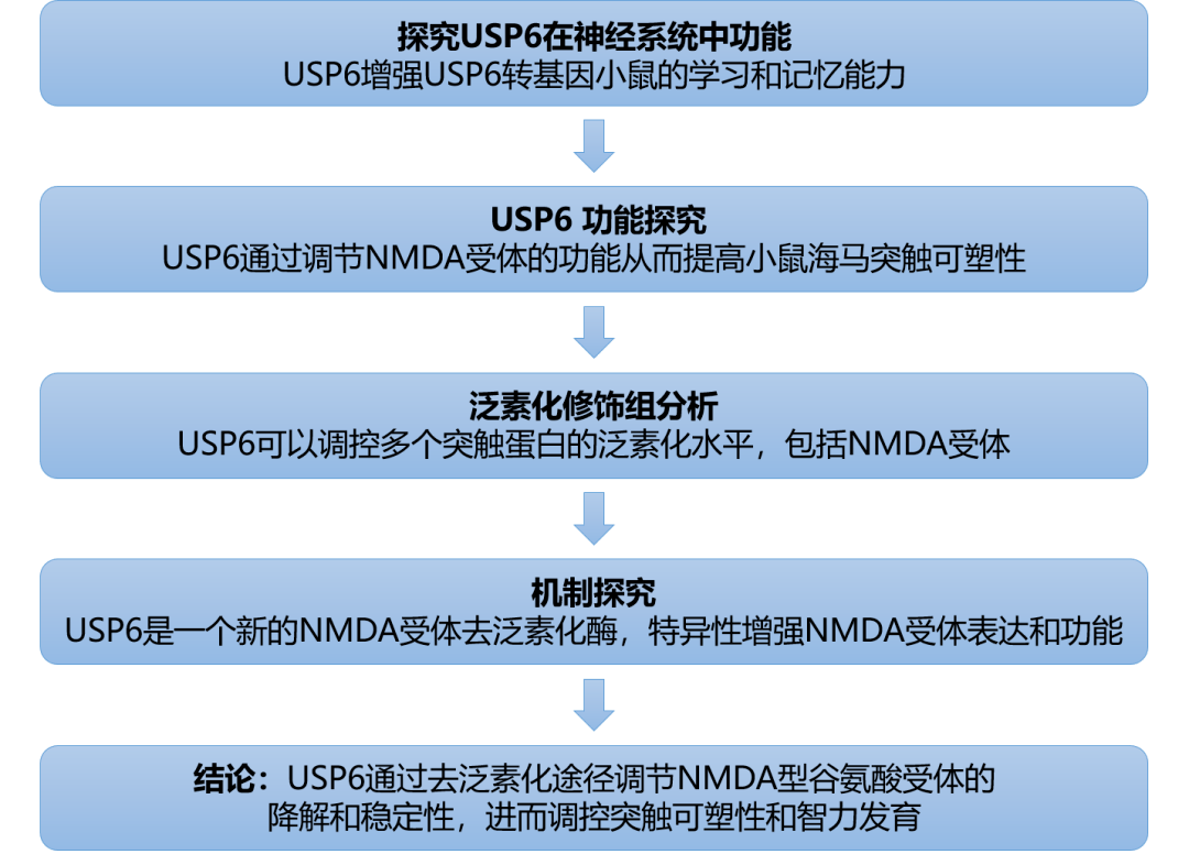 镜湖月 第4页