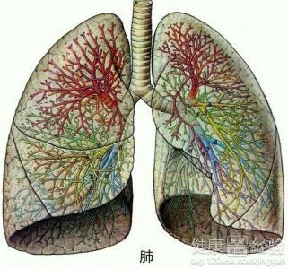 探索矽肺治疗新方法，最新探索与创新实践