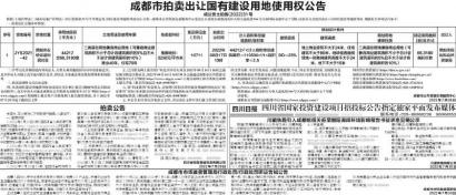 四川最新拍卖公告全面解析