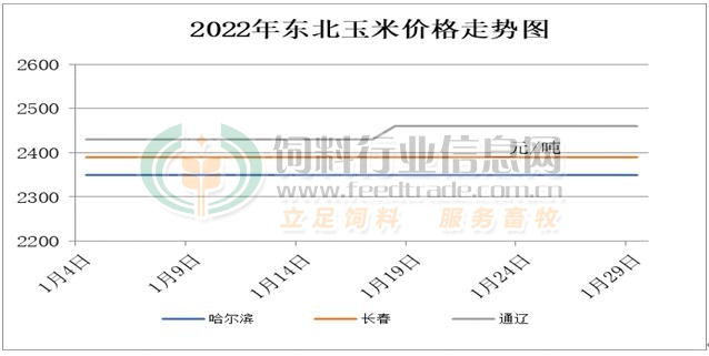 东北玉米价格最新走势解析