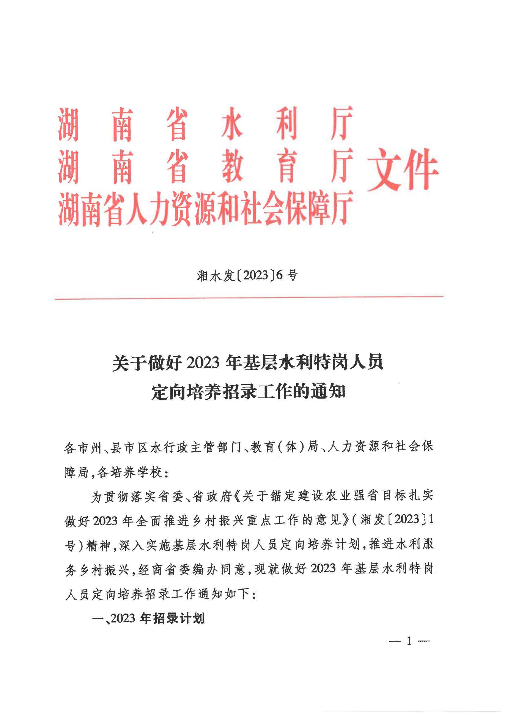 基层特定岗位最新文件解读与实施策略详解