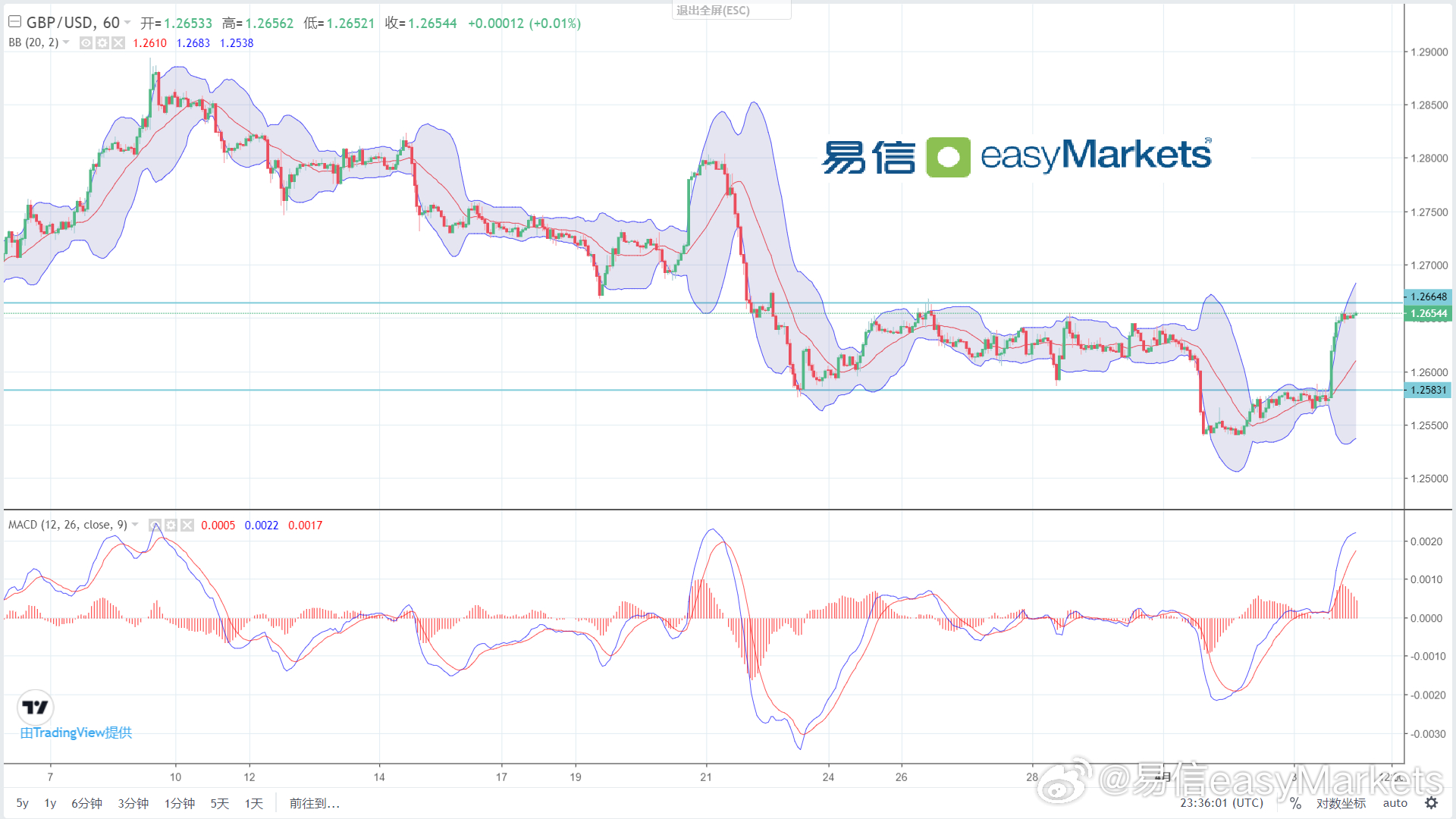 2024澳门开奖结果王中王,数据设计驱动策略_P版65.267