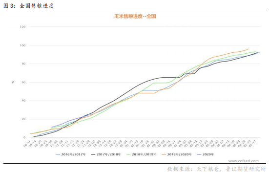 玉米保护价政策最新动态，保障农民利益，推动农业可持续发展