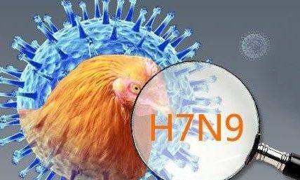 陕西H7N9疫情最新动态，全面应对，守护人民健康