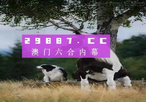 澳门跑狗,全面数据解释定义_FHD版20.899