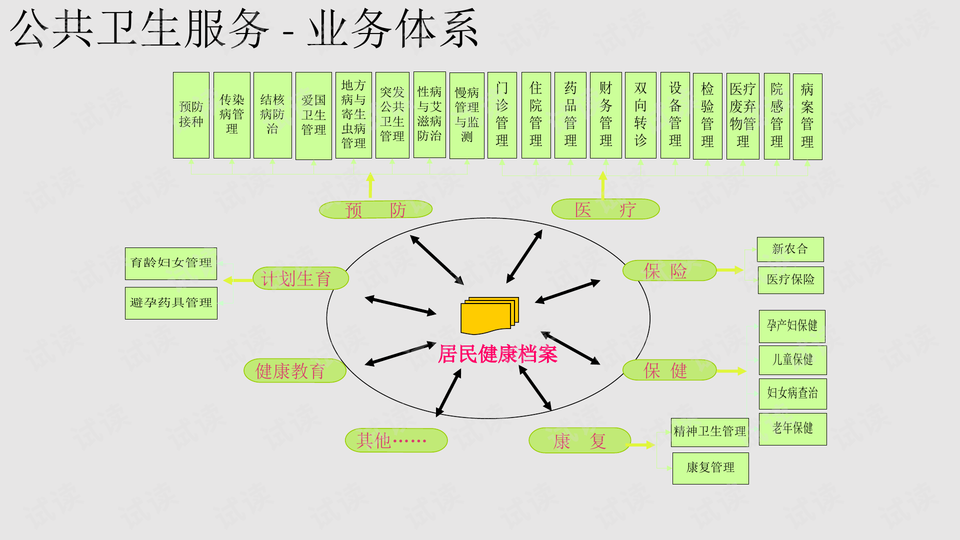 4949正版免费资料大全水果,安全解析策略_kit78.307