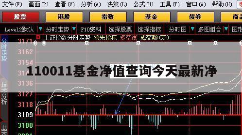 110010基金今日净值最新查询及分析概览