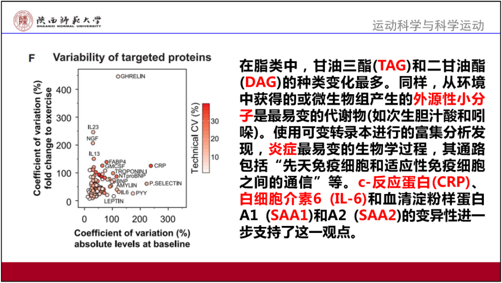 香港今年免费资料有哪些,准确资料解释落实_游戏版6.336