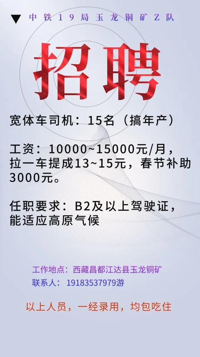 松江驾驶员最新招聘信息详解及相关细节探讨