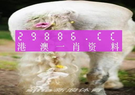 澳门研究所一肖一码9494777,决策资料解释落实_AR版7.672