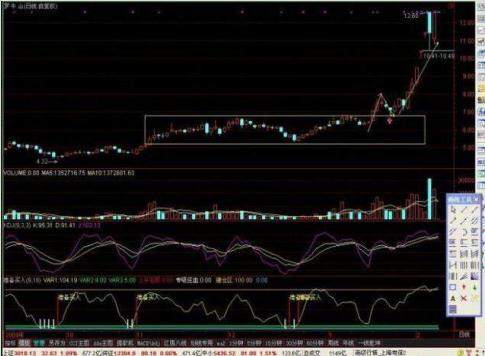 罗牛山股票最新消息全面解读与分析