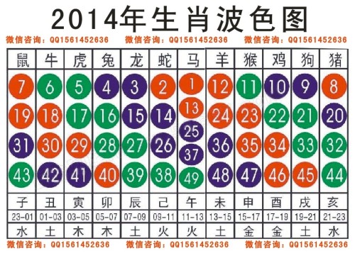 2024十二生肖49码表,实地计划验证策略_kit49.305