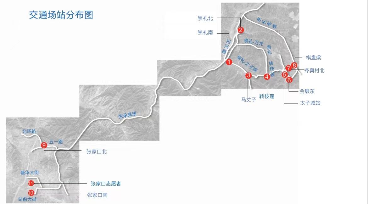 转枝莲村最新动态概览