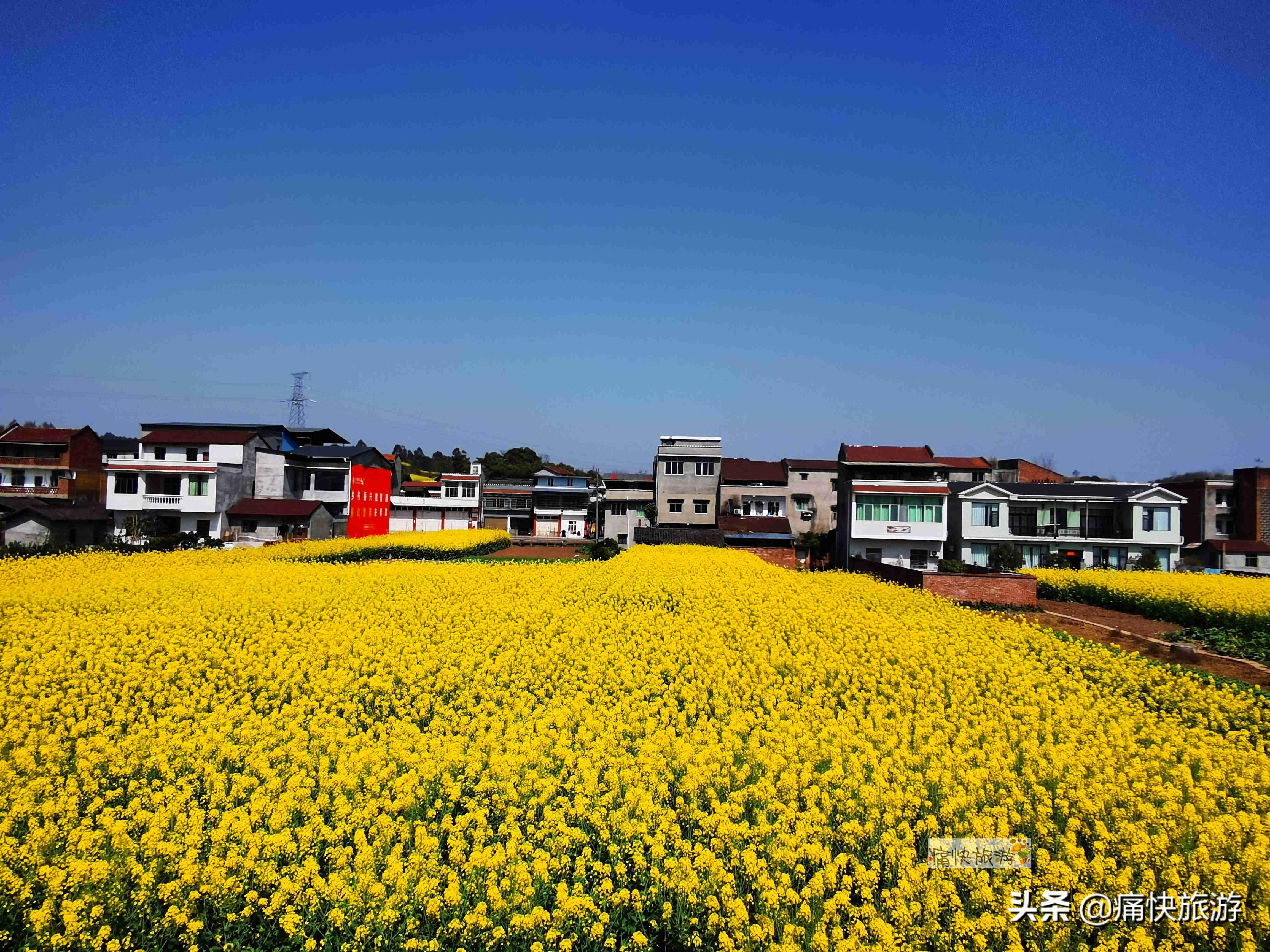 泸州沱江二桥建设进展及未来展望，最新消息揭秘