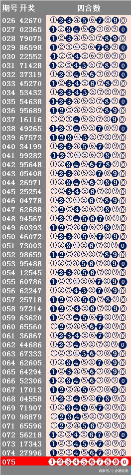 2024年11月15日 第41页