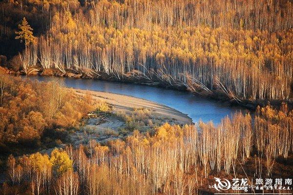 金山屯贴吧最新消息揭秘，小镇新动态与生活变迁追踪