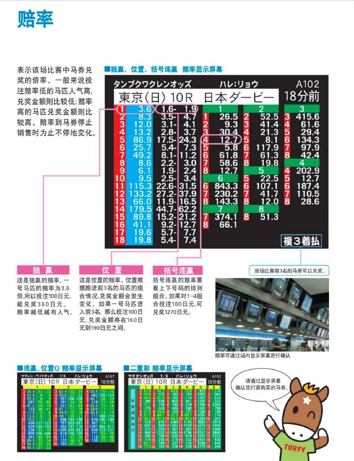 马会传真,标准化流程评估_DP14.615