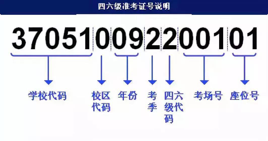 4949澳门开奖现场开奖直播,快速解答计划设计_专业版32.70