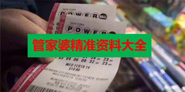 新澳门精准资料大全管家婆料,迅速执行设计方案_复古款46.87.44