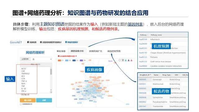 新澳准资料免费提供,数据设计驱动执行_挑战版63.976