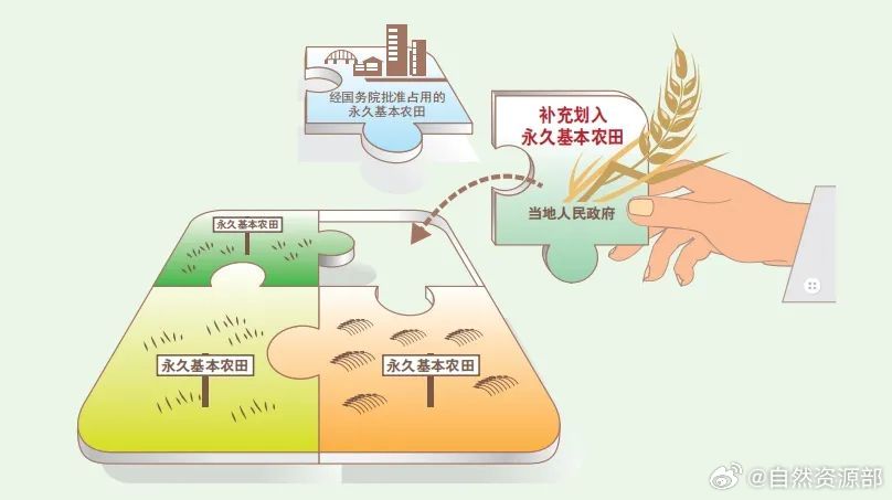 最新基本农田占用处理办法详解