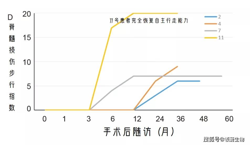 戴建武研究最新进展，引领科学突破新征程