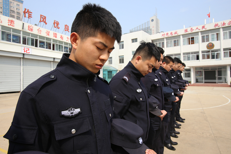 公安协警的发展与变革，深入解析协警在2017年的最新动态与进展