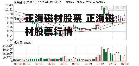 正海磁材股票最新动态全面解析