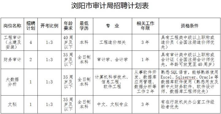 桃源县审计局最新招聘公告全面解析