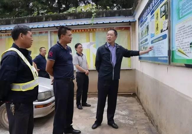 青龙村委会全新发展规划概览