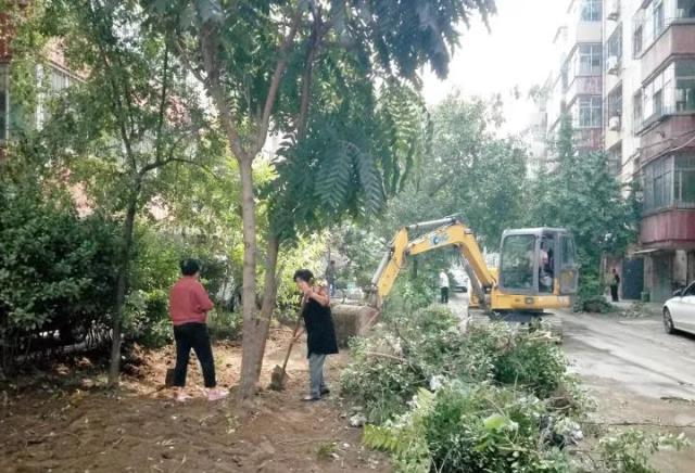 南长街街道办事处重塑社区，打造宜居环境新篇章启动